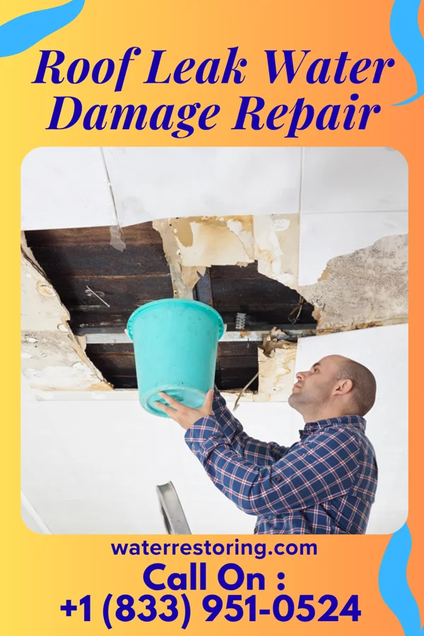 Roof Leak Water Damage Repair in Jackson Center, OH